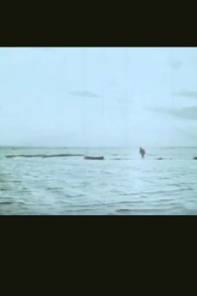 Il campo Trailer