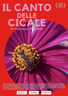 IL CANTO DELLE CICALE Trailer