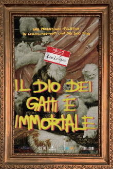 Il Dio dei Gatti è Immortale Trailer