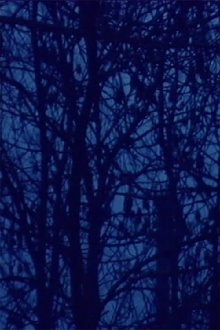 Il lago (soggettivo-oggettivo) Trailer