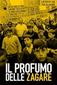 Il profumo delle zagare Trailer