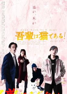 I'm a cat! Trailer
