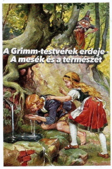 Im Märchenwald der Gebrüder Grimm Trailer