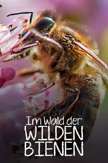 Im Wald der wilden Bienen Trailer