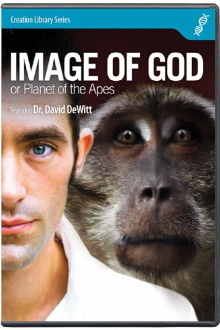 Image of God or Planet of the Apes Trailer