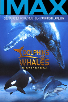IMAX Dolphins and Whales: Tribes of the Ocean Trailer