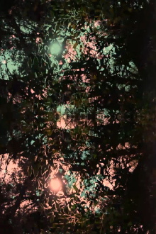 Imitation of light Trailer
