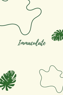 Immaculate Trailer