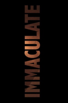 Immaculate Trailer