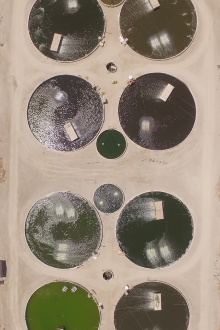 Imperial Valley (Cultivated Run-Off) Trailer