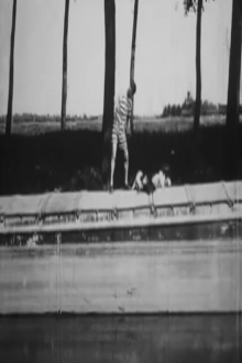 Impossible To Get a Plunge Trailer