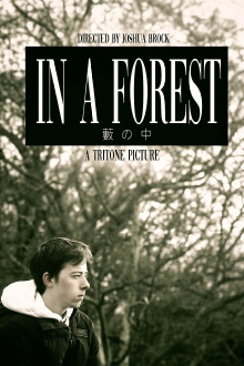 In a Forest Trailer