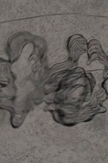 In a Mere Metamorphosis Trailer