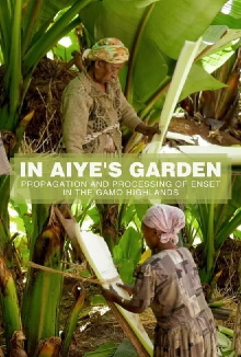 In Aiye's Garden: Propagation And Processing of Enset in the Gamo Highlands Trailer