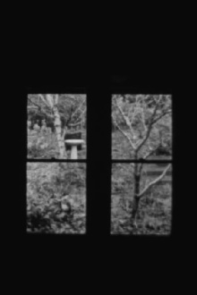 In and Out a Window Trailer