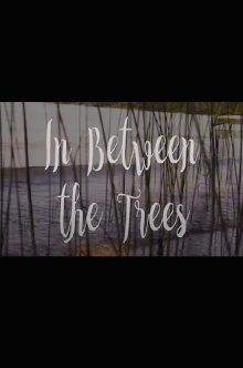 In Between the Trees Trailer
