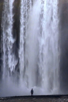In Landscape's Movement Trailer
