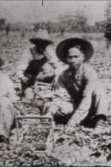In No One's Shadow: Filipinos in America Trailer