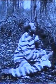 In Northern Forests Trailer