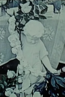 In Repose Trailer