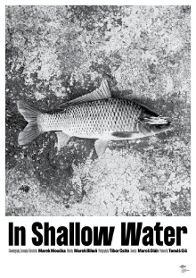 In Shallow Water Trailer