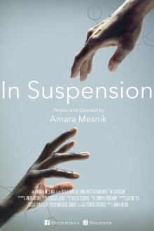 In Suspension Trailer