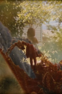 In the Backyarden Trailer