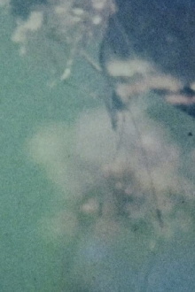 In the Broken Eye of the Butterfly Trailer