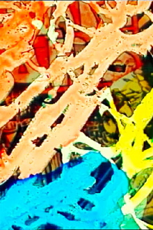 In the Colourbox Trailer