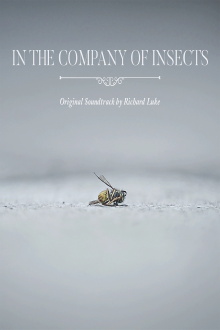 In the Company of Insects Trailer
