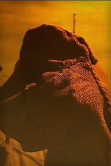 In the Desert Trailer