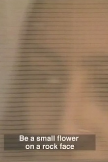 In the Eye of the Fish Trailer