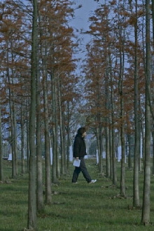In the Fog Trailer