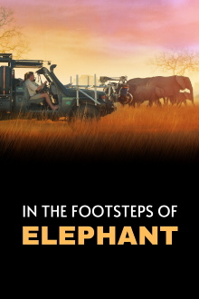 In the Footsteps of Elephant Trailer
