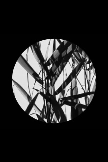 In the Footsteps of Li Yuan-chia & Delia Derbyshire Trailer