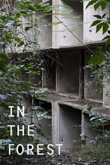 in the forest Trailer