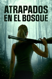 In the Forest Trailer