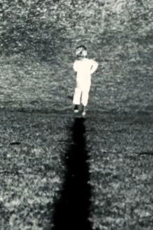 In the form of the letter X Trailer