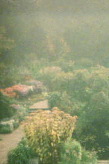 In the Garden Trailer