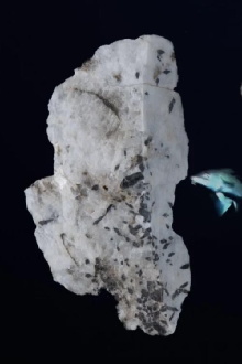 In the Ice, Everything Leaves a Trace Trailer