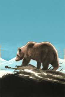 In the Kingdom of the Lapland Bear Trailer