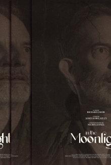 In The Moonlight Trailer