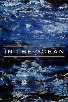 In the Ocean Trailer