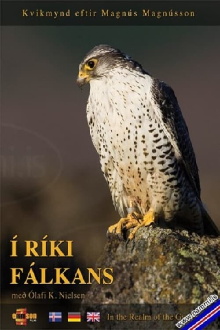 In the Realm of the Gyr Falcon Trailer