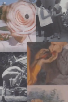 In the Suburbs Trailer