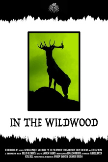 In the Wildwood Trailer