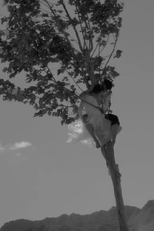 In the Wind Trailer