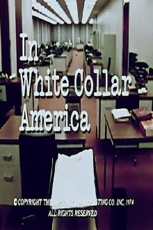 In White-Collar America Trailer