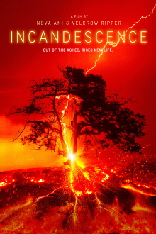 Incandescence Trailer