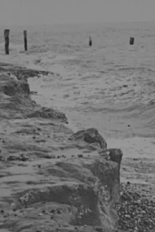 Incoming Tide Trailer
